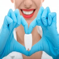 Dentists & Orthodontists