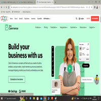 Online Ecommerce Platform - Start Selling Today